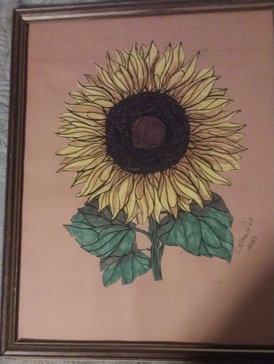 framed artwork I created signed and dated