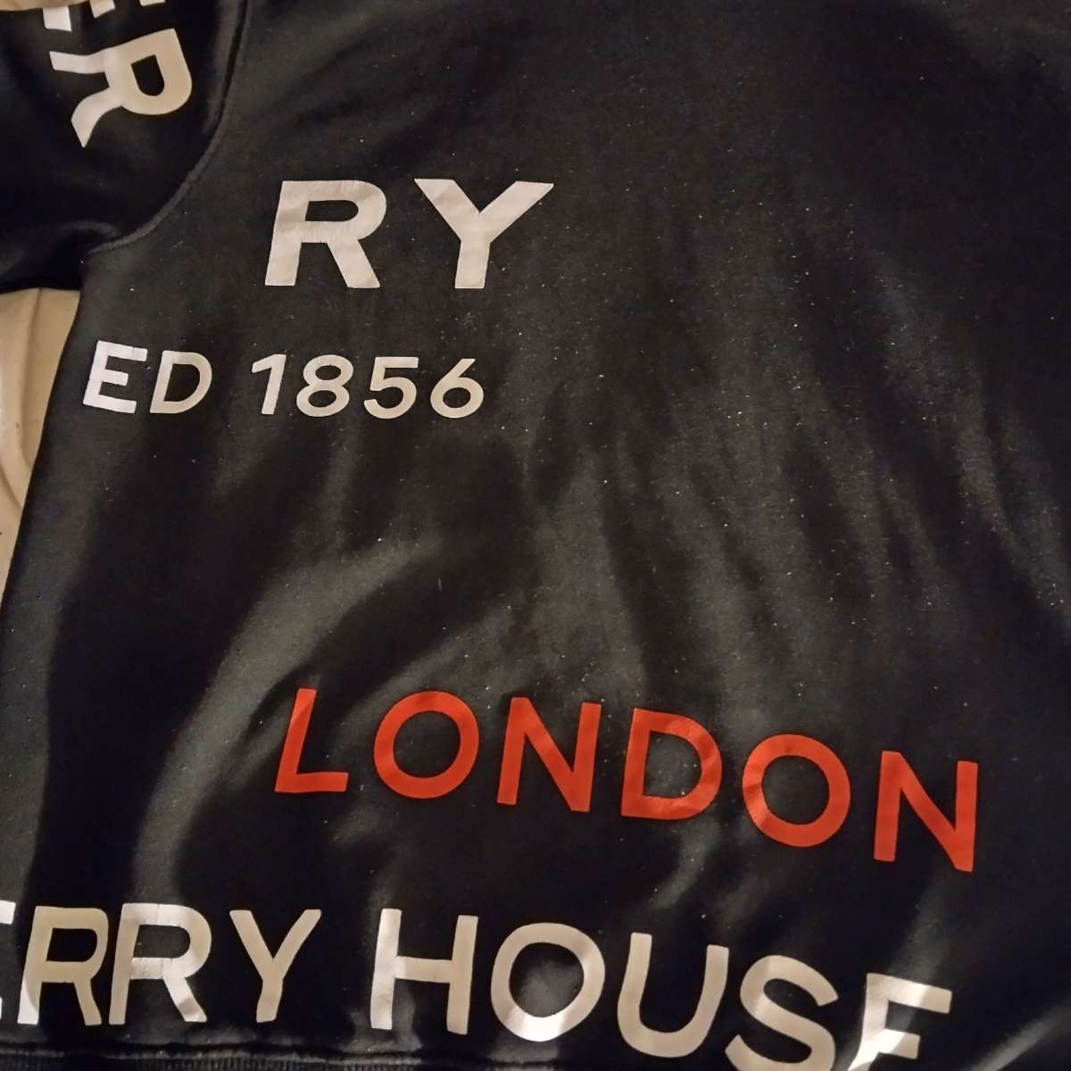 mens Burberry hoodie