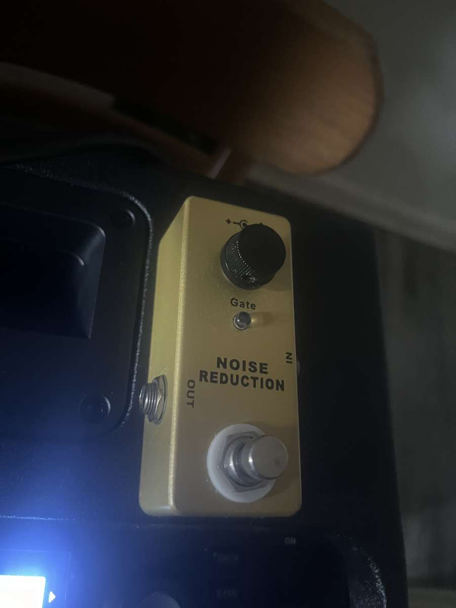 Ibanez guitar and noise gate pedal