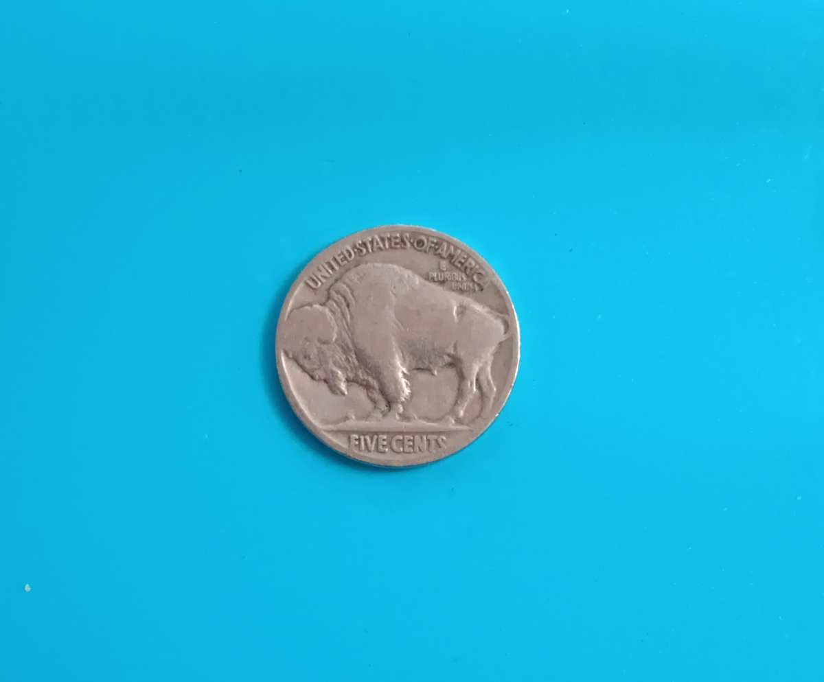 old silver Buffalo nickel