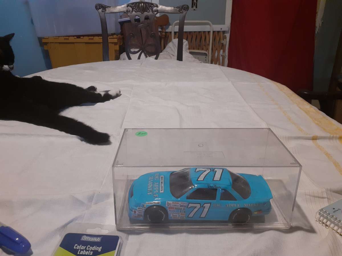 Nascar Collectibles