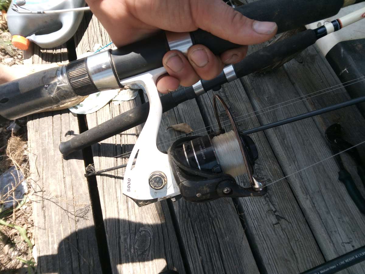 catfihing poles and reels