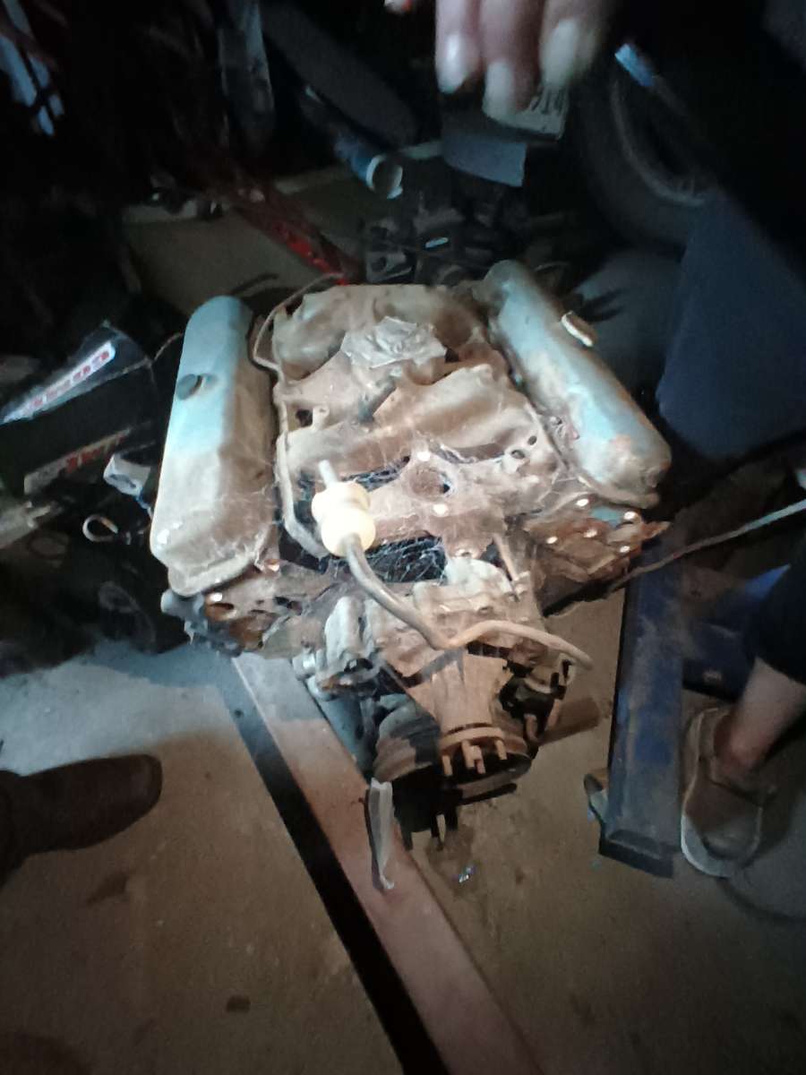 Motor
