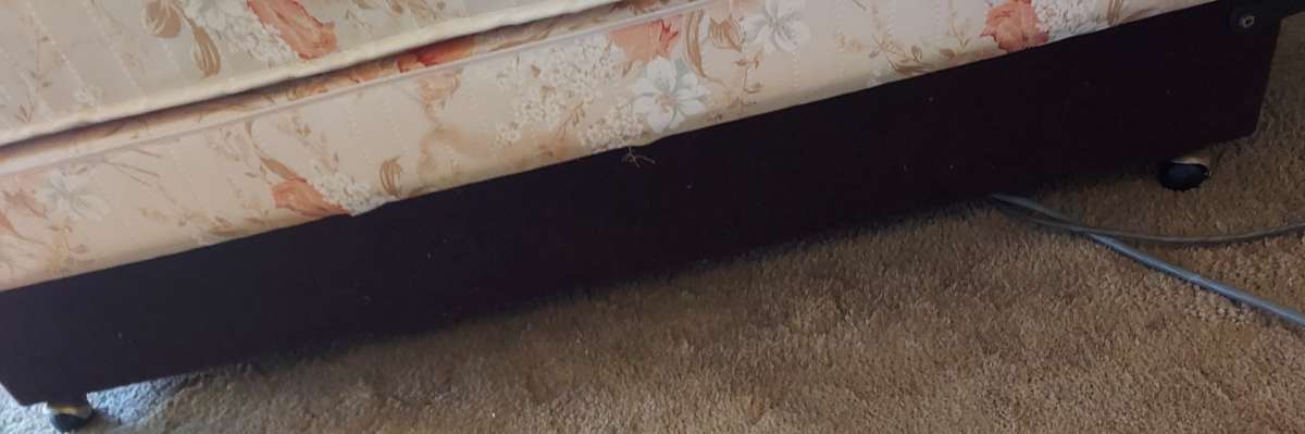 FREE  Automatic Twin XL Bed with Massage