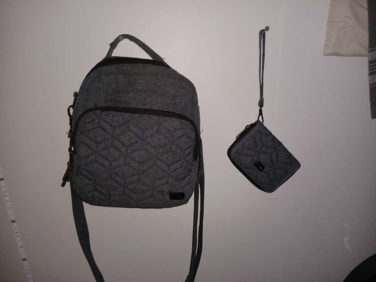 bag with matching wallet