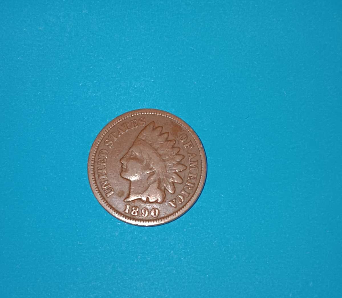 1890 indian head penny