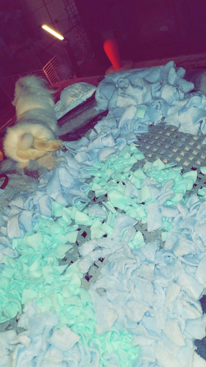 custum snuffle mats washable