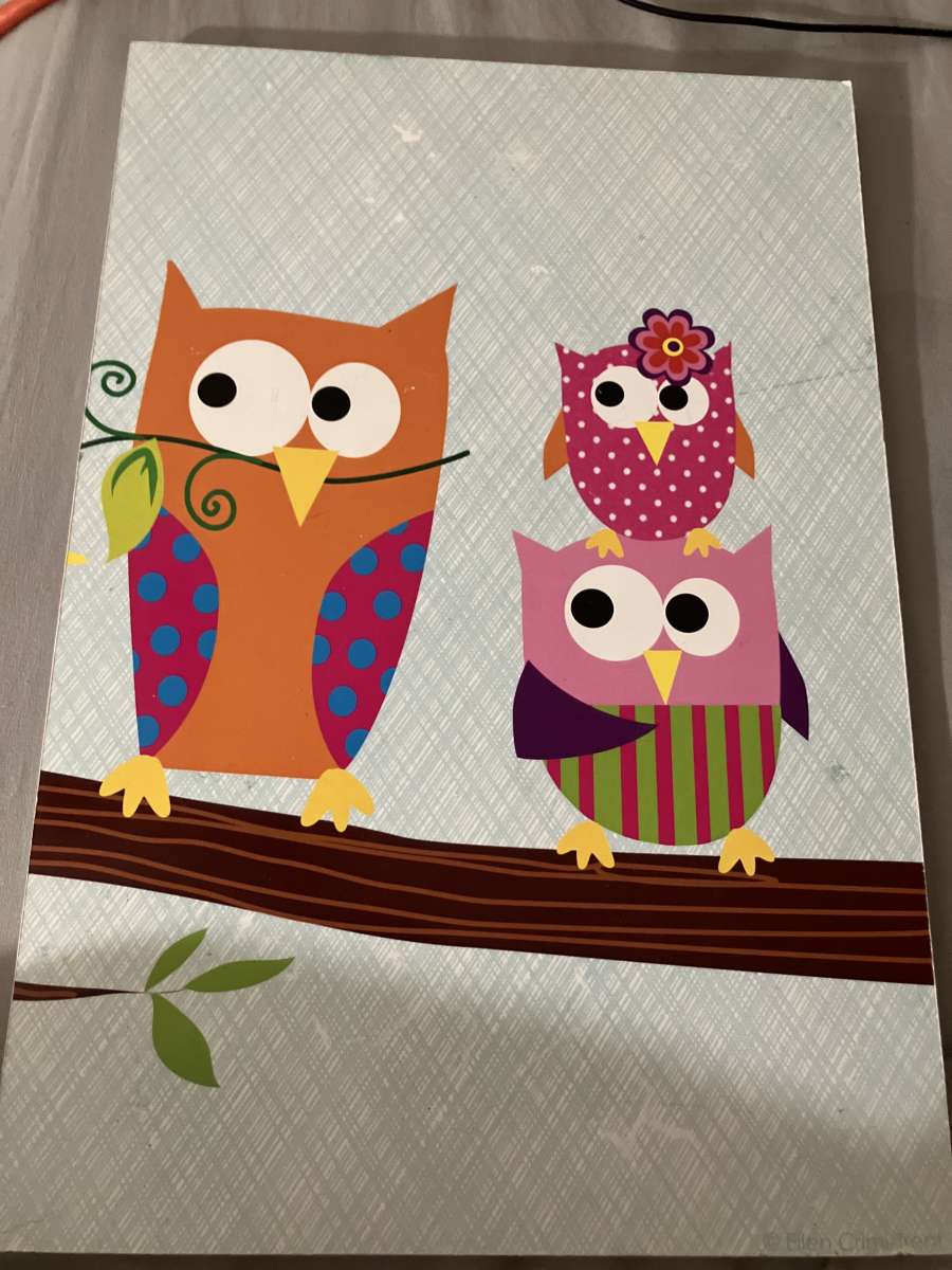 owl picture set