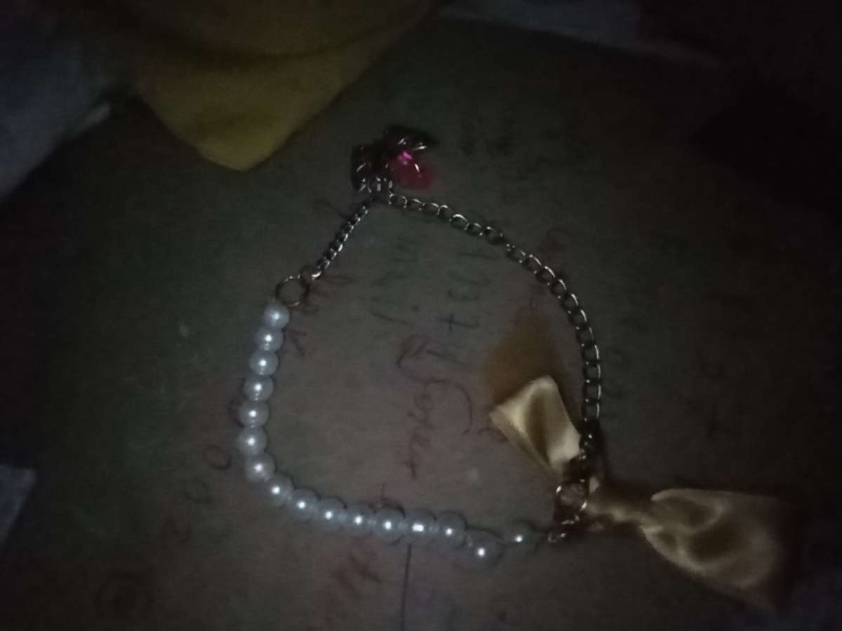 collar para cachora o pera