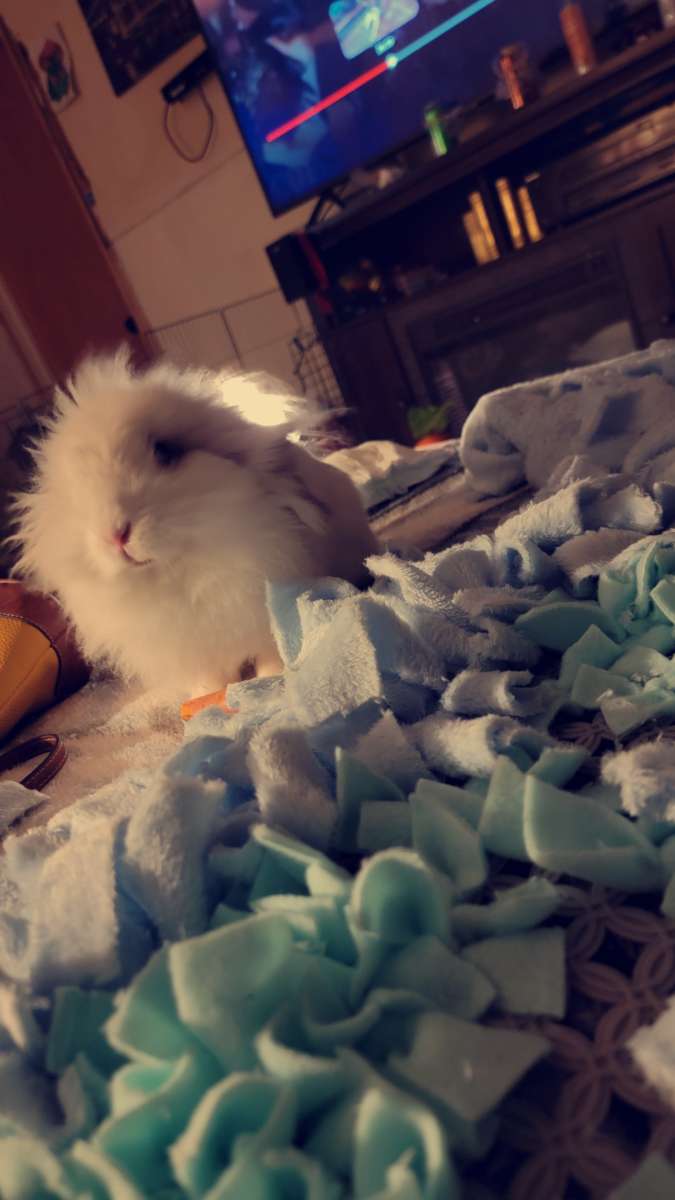 custum snuffle mats washable