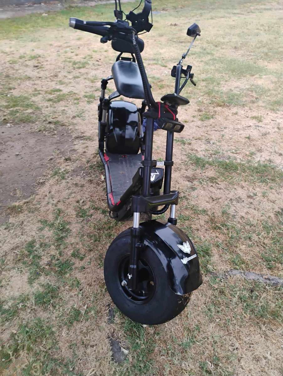 wind horse fat tire hog