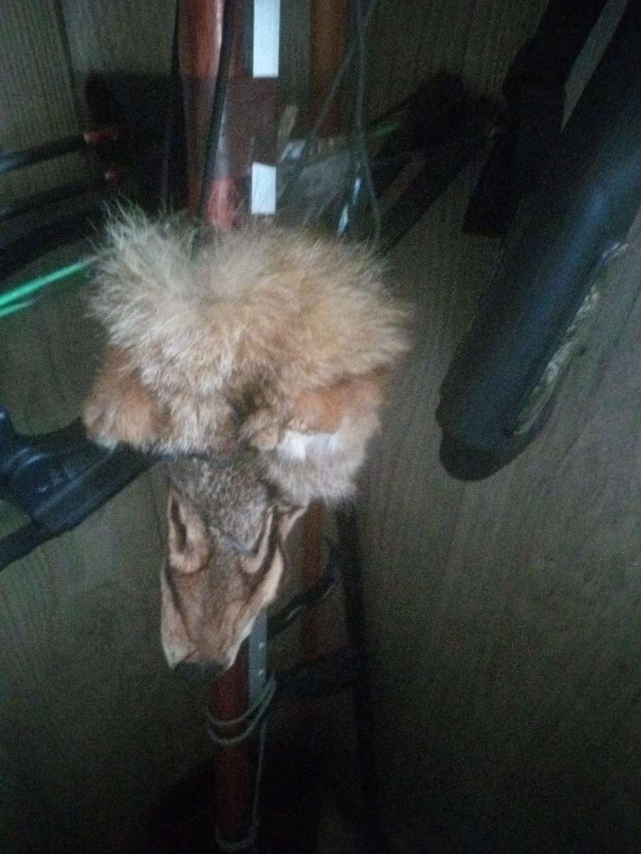 fox fur seen it on line 99 dollars