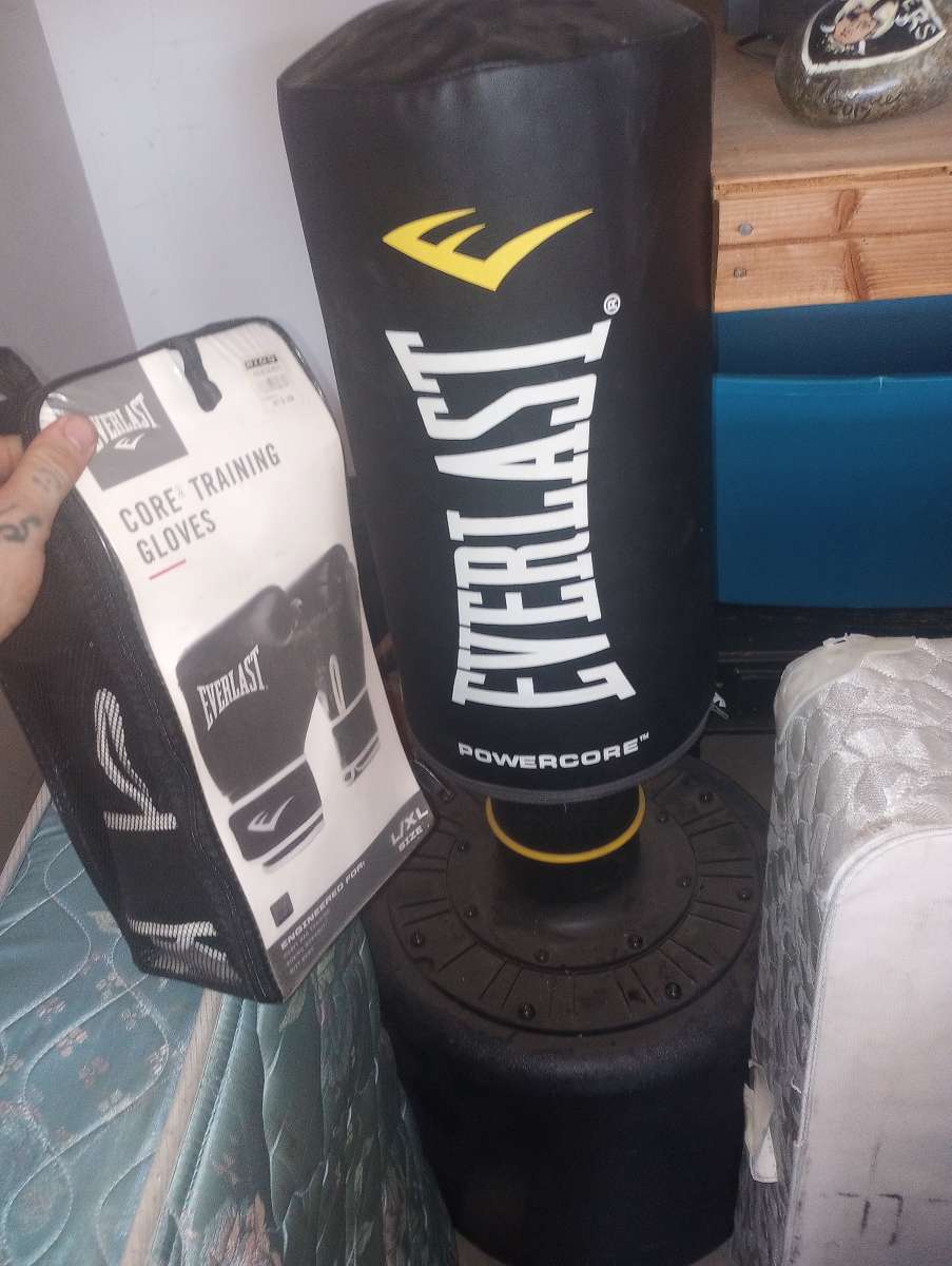 Everlast bag with gloves