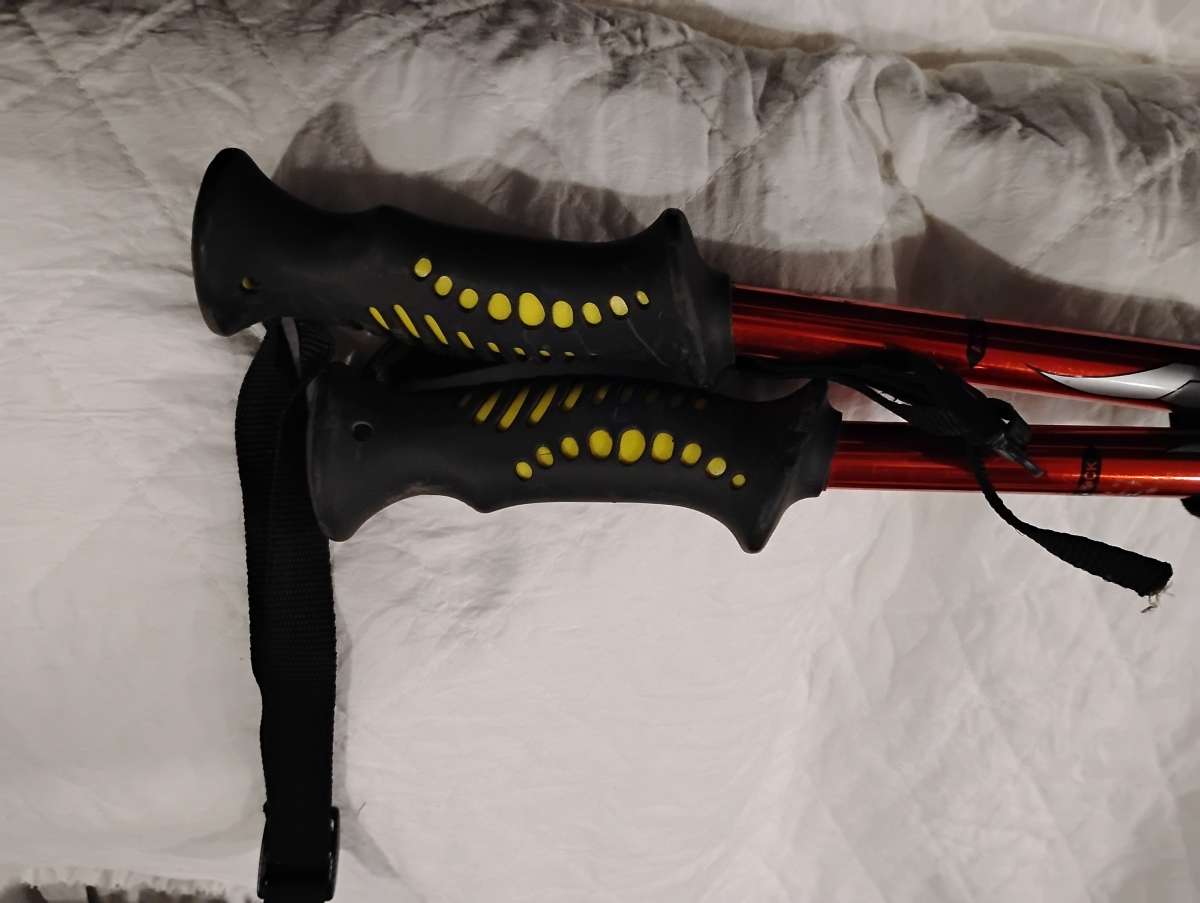 hiking walking sticks