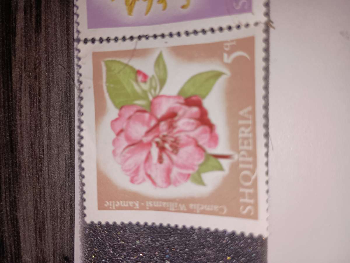 random Albania stamps