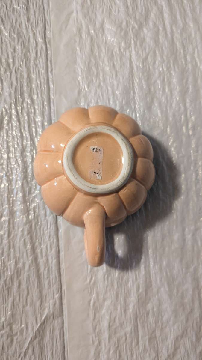 A Semi 3D Orange And Green Carrot Soup Bowl  Vegitable Bowl