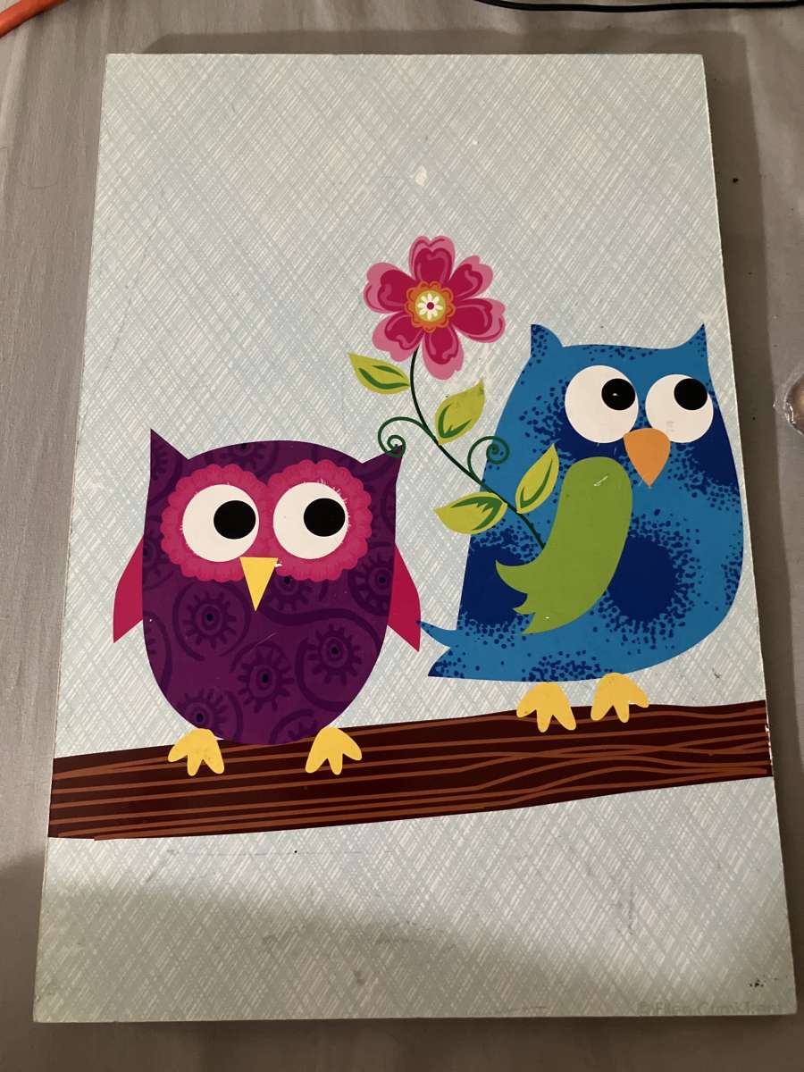 owl picture set