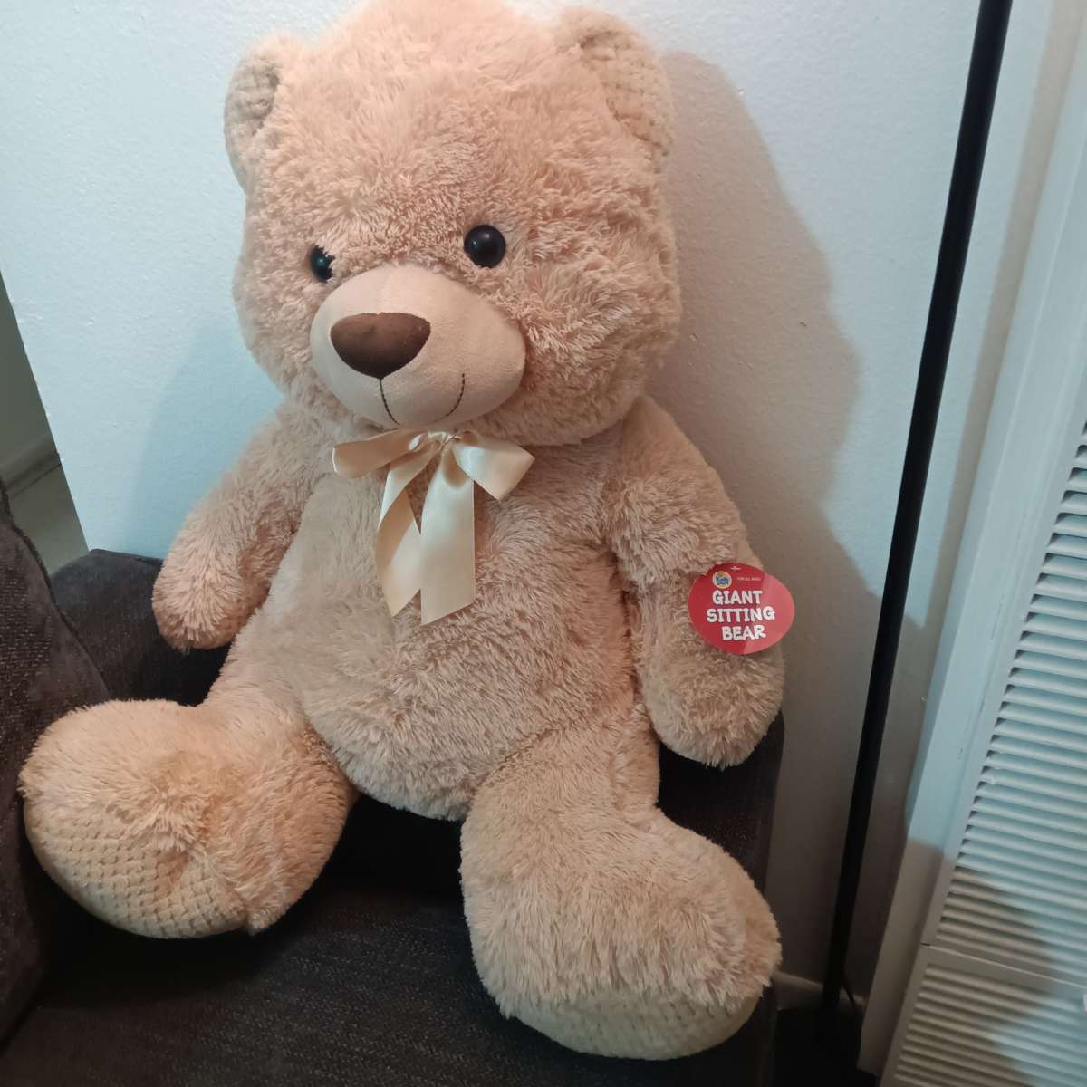 medium brown teddy bear new