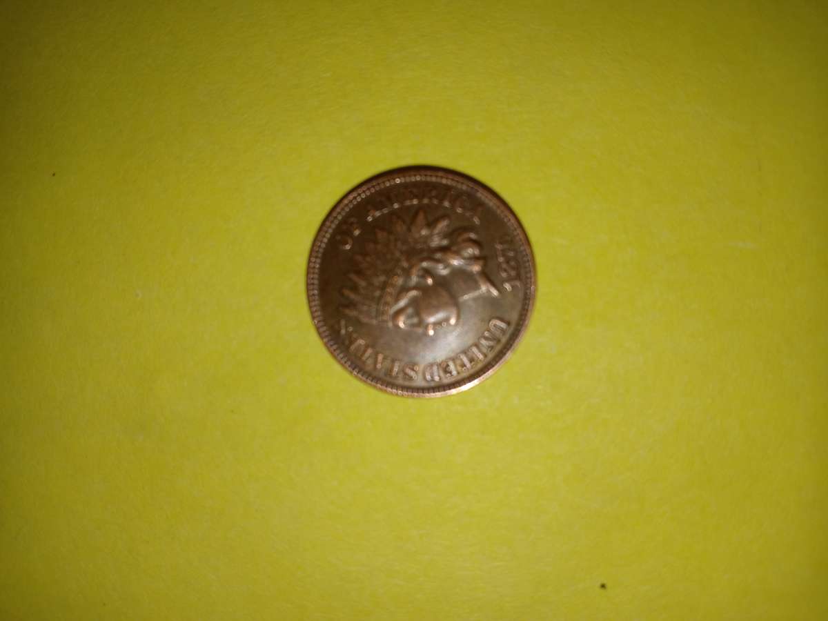 1876 Indian head penny