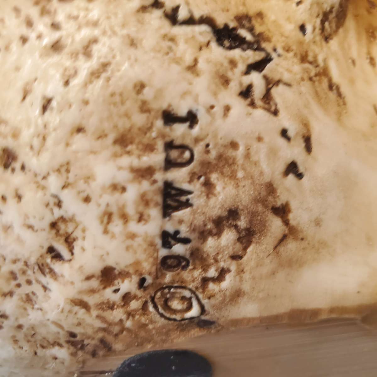 2 Large Resin Tribal Skulls 7x9