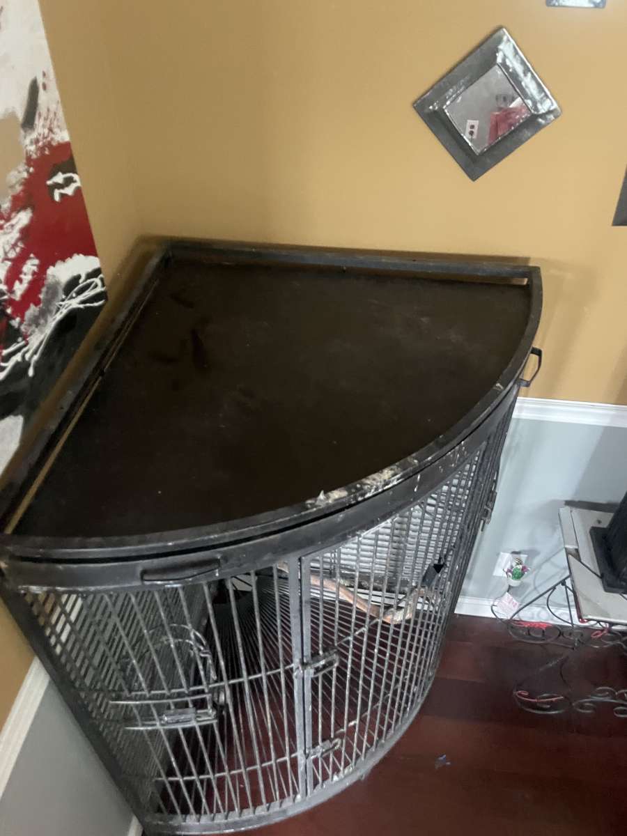 Bird Cage
