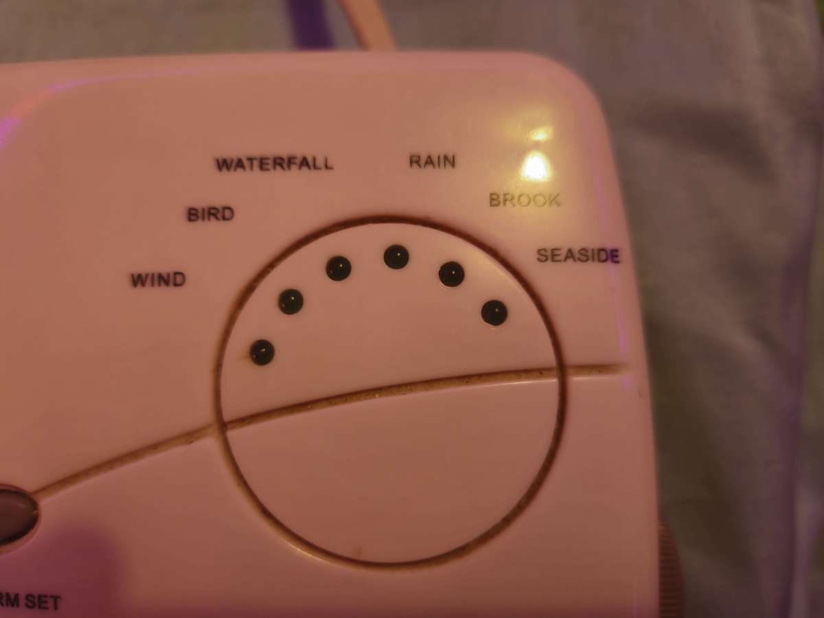 Perfection Soothing Sounds 2 Band Clock Radio