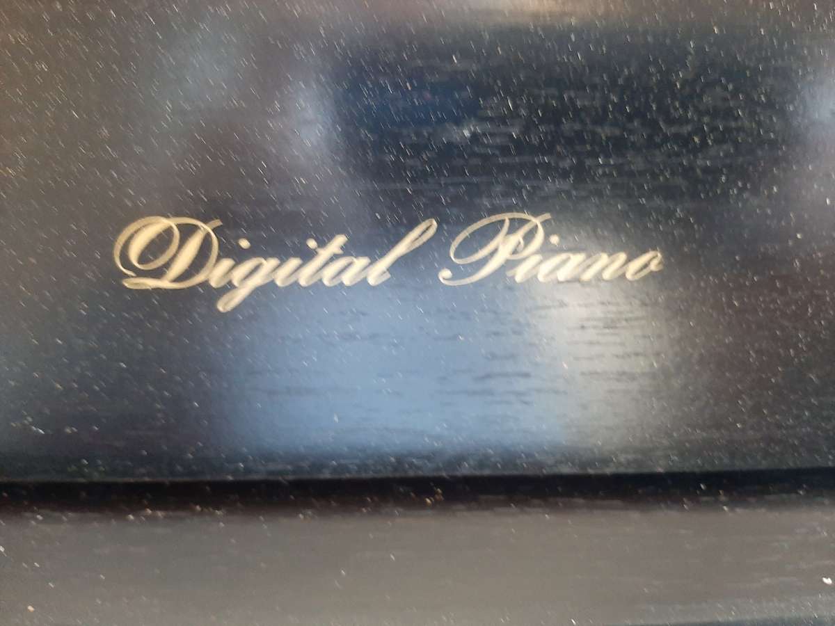 Technics Digital Piano