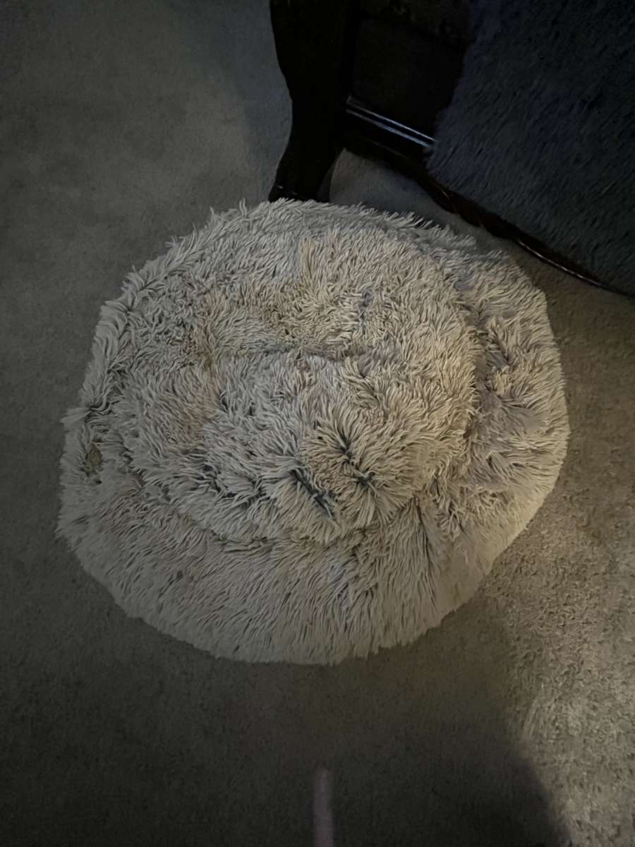 Medium Size Pet Bed