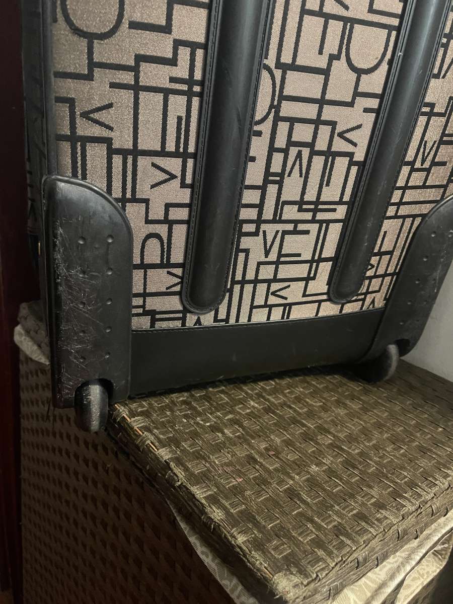 Diane Von furstenberg carry on luggage