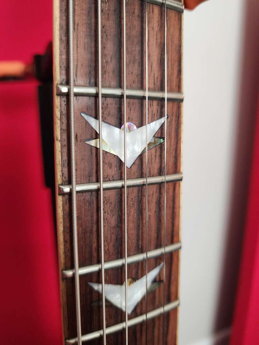 Schecter Banshee 6 FR Extreme