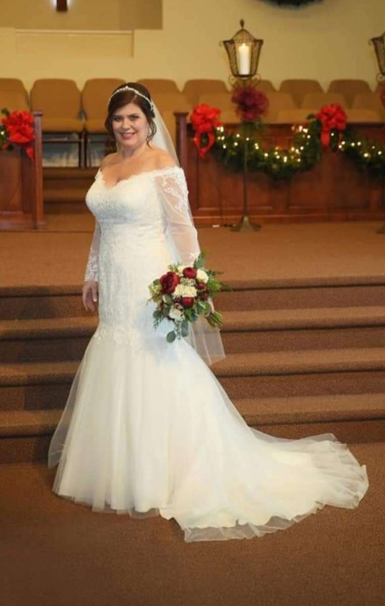 Davids Bridal Wedding Gown