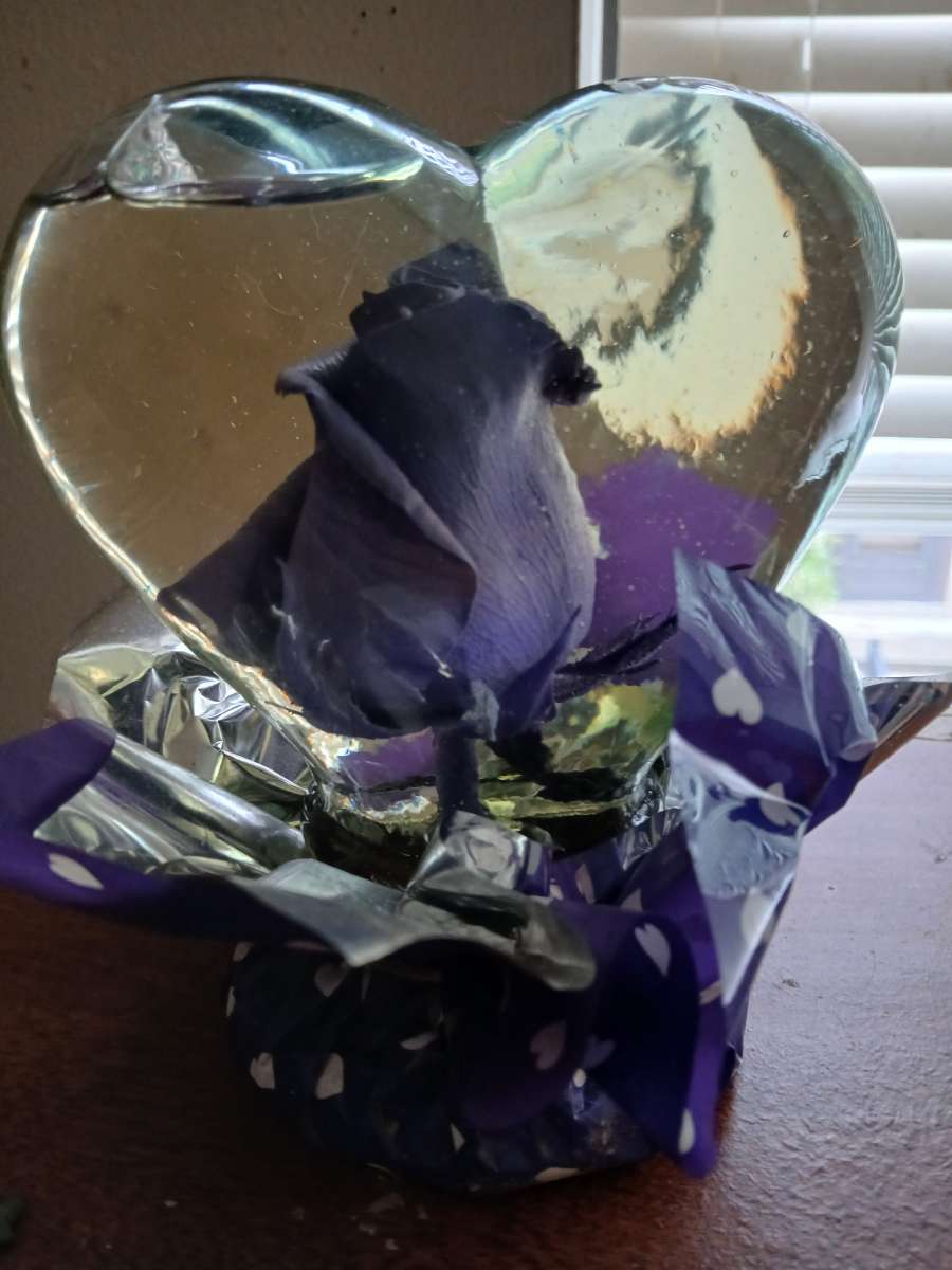 rose in glass heart