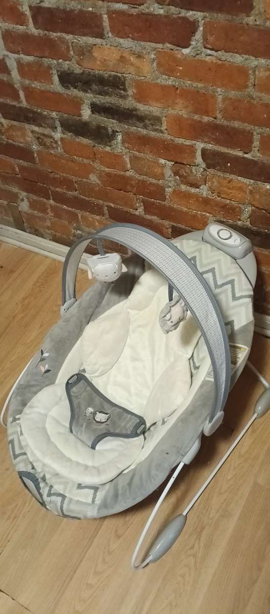 ingenuity automatic bouncer