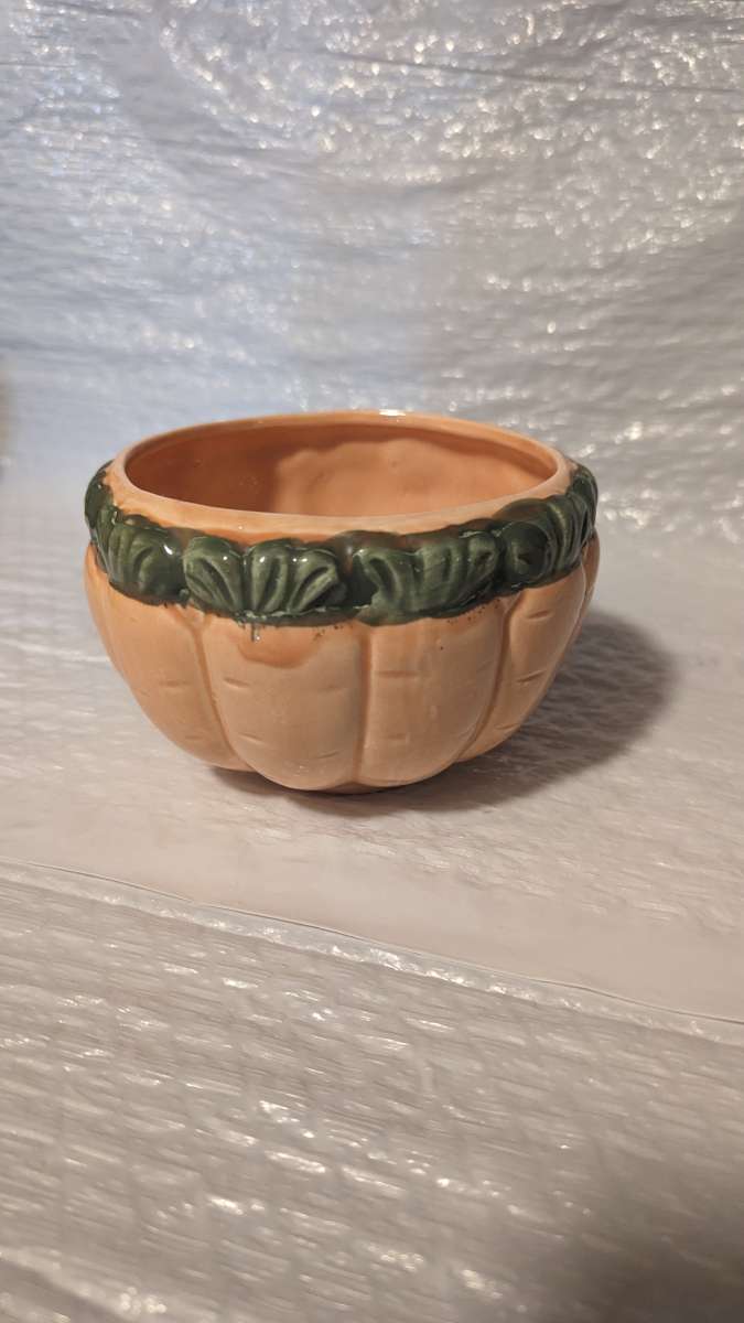 A Semi 3D Orange And Green Carrot Soup Bowl  Vegitable Bowl
