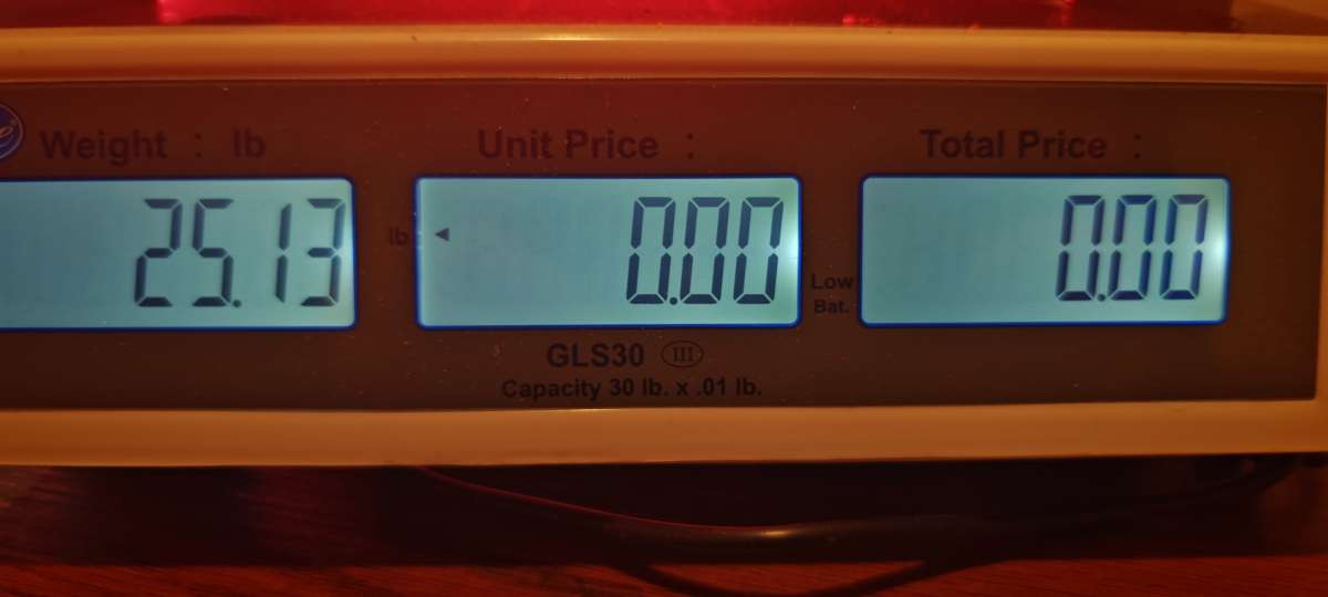 Globe GLS30 30LB Price Computing Scale with Dual Light Up LC