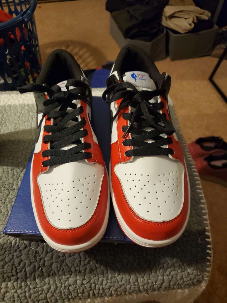 Nike dunks 75th anniversary tag sneakers