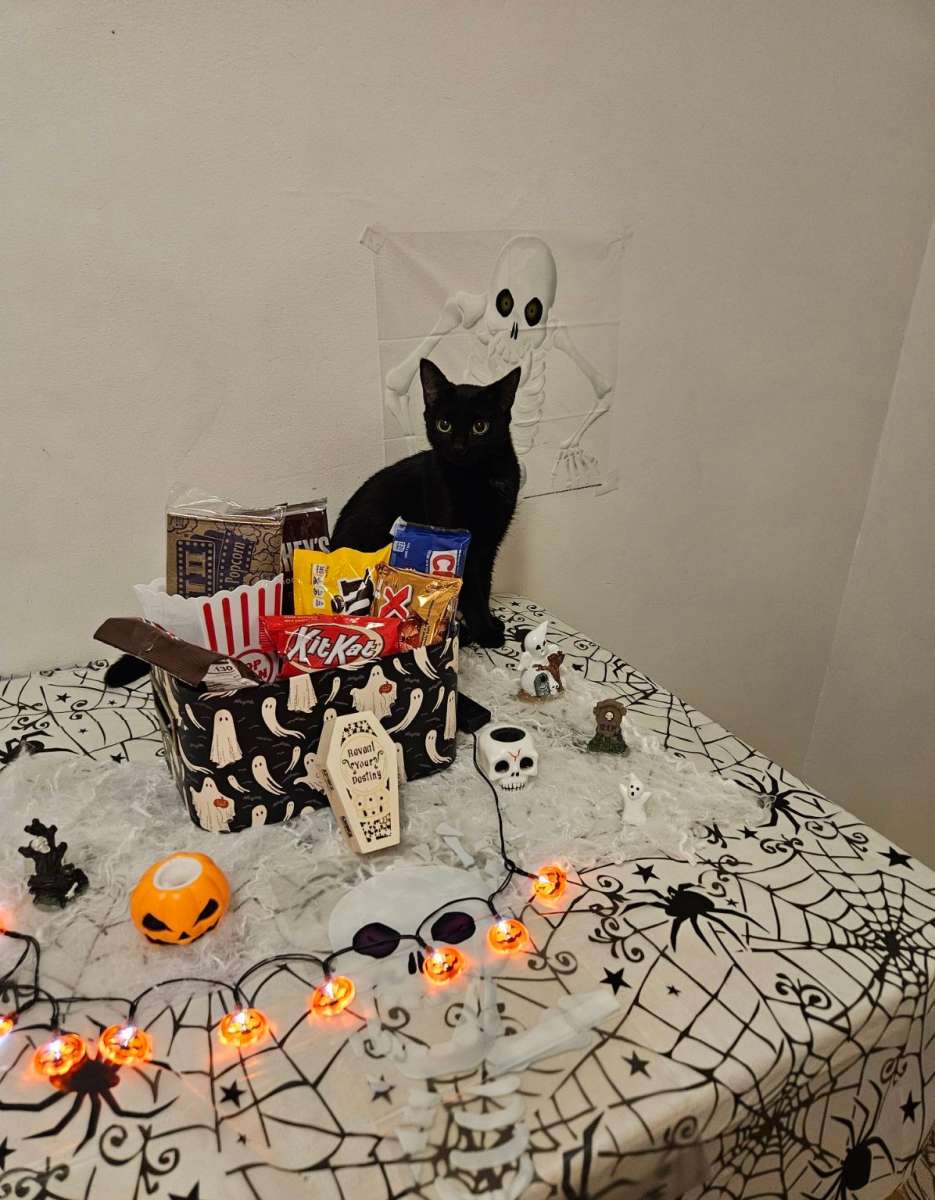 Halloween Miniature Candy Box