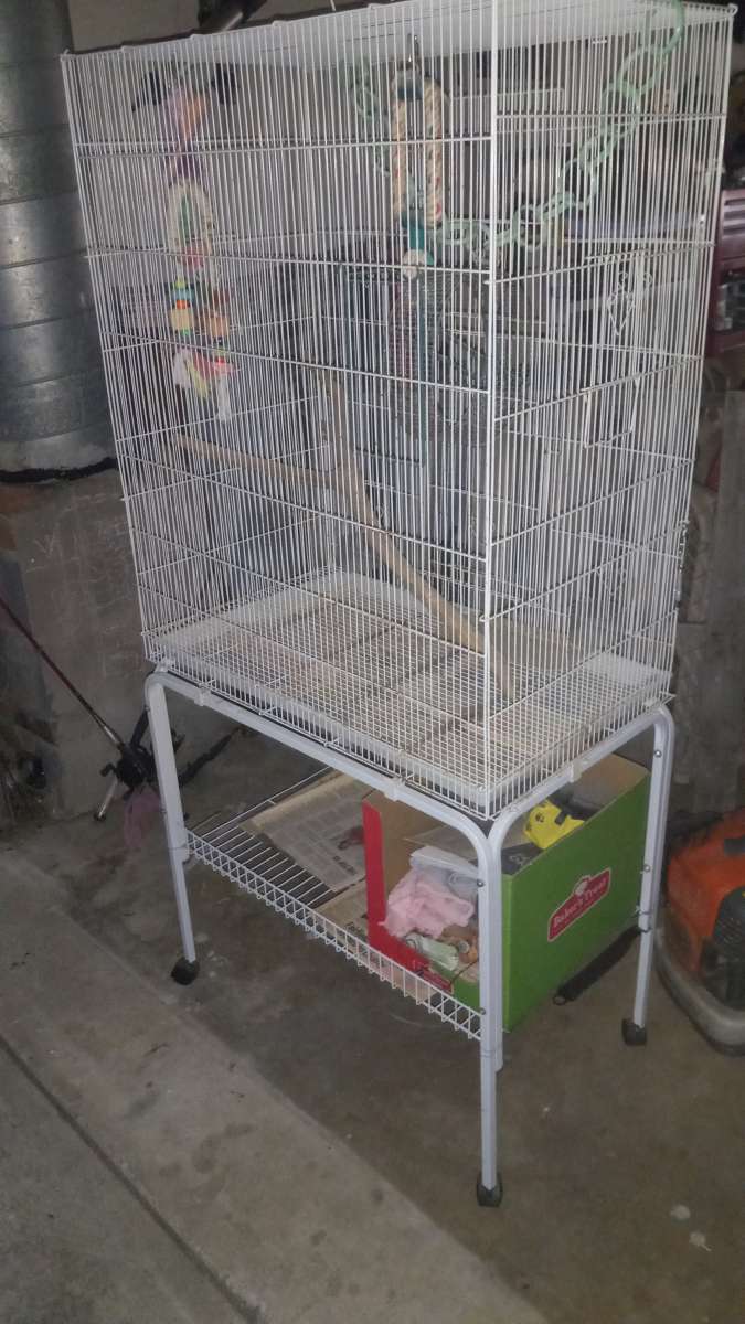 bird  sugar gliders cage