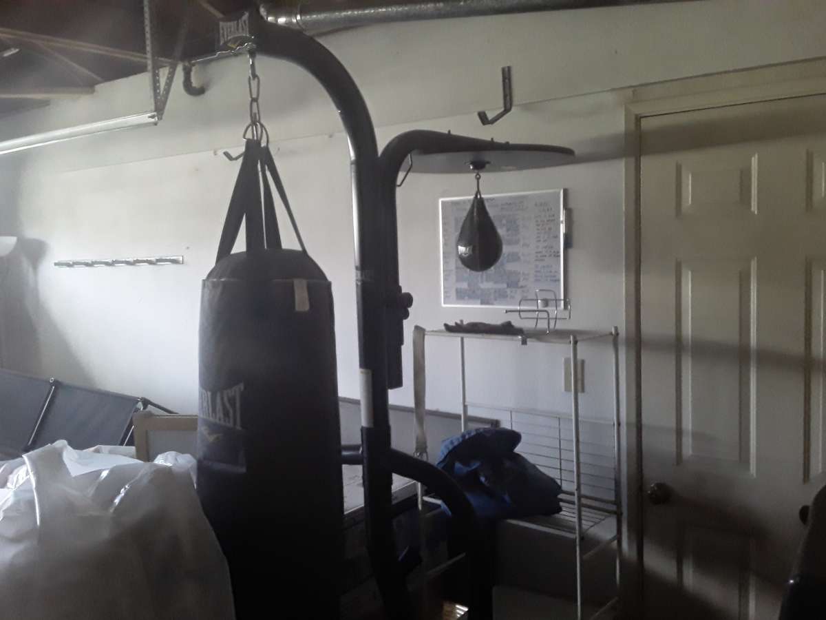 Everlast Punching Bag
