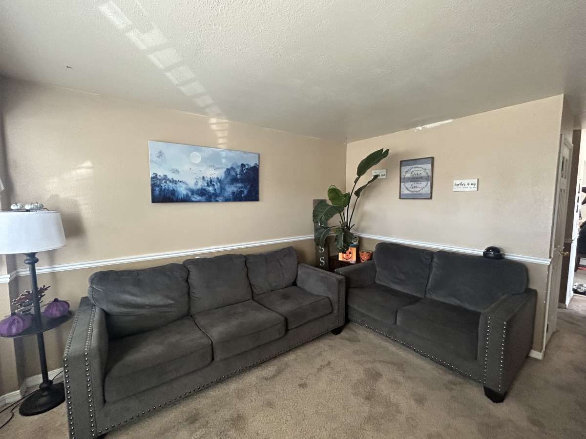 Couch and loveseat