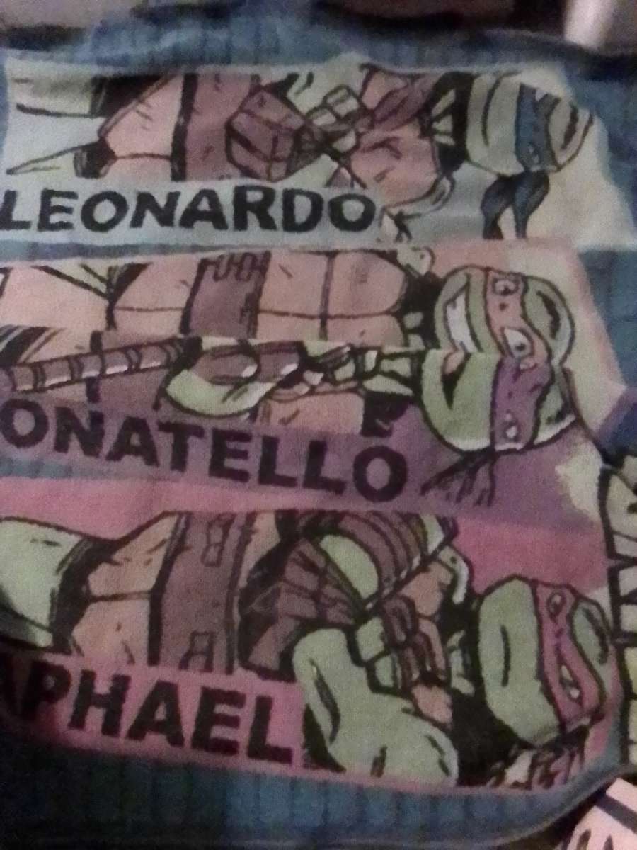 TEENAGE MUTANT NINJA TURTLES RUG