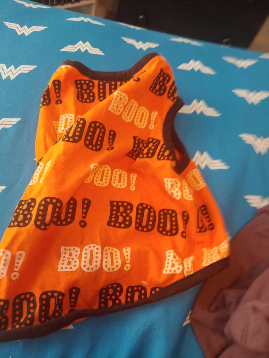 Halloween shirt