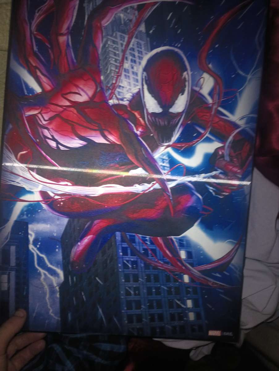 wall picture that changes when u move