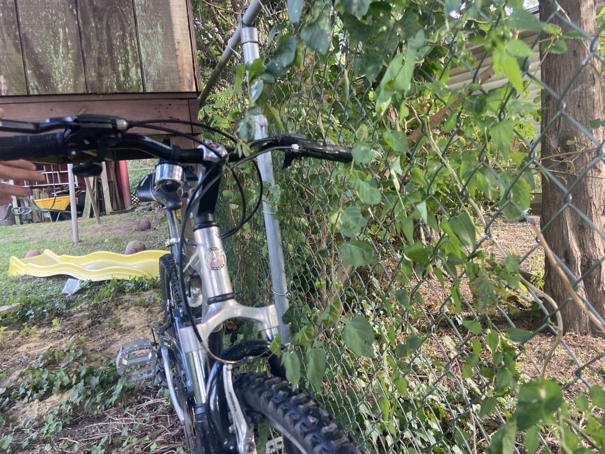 Schwinn Mountain Bike