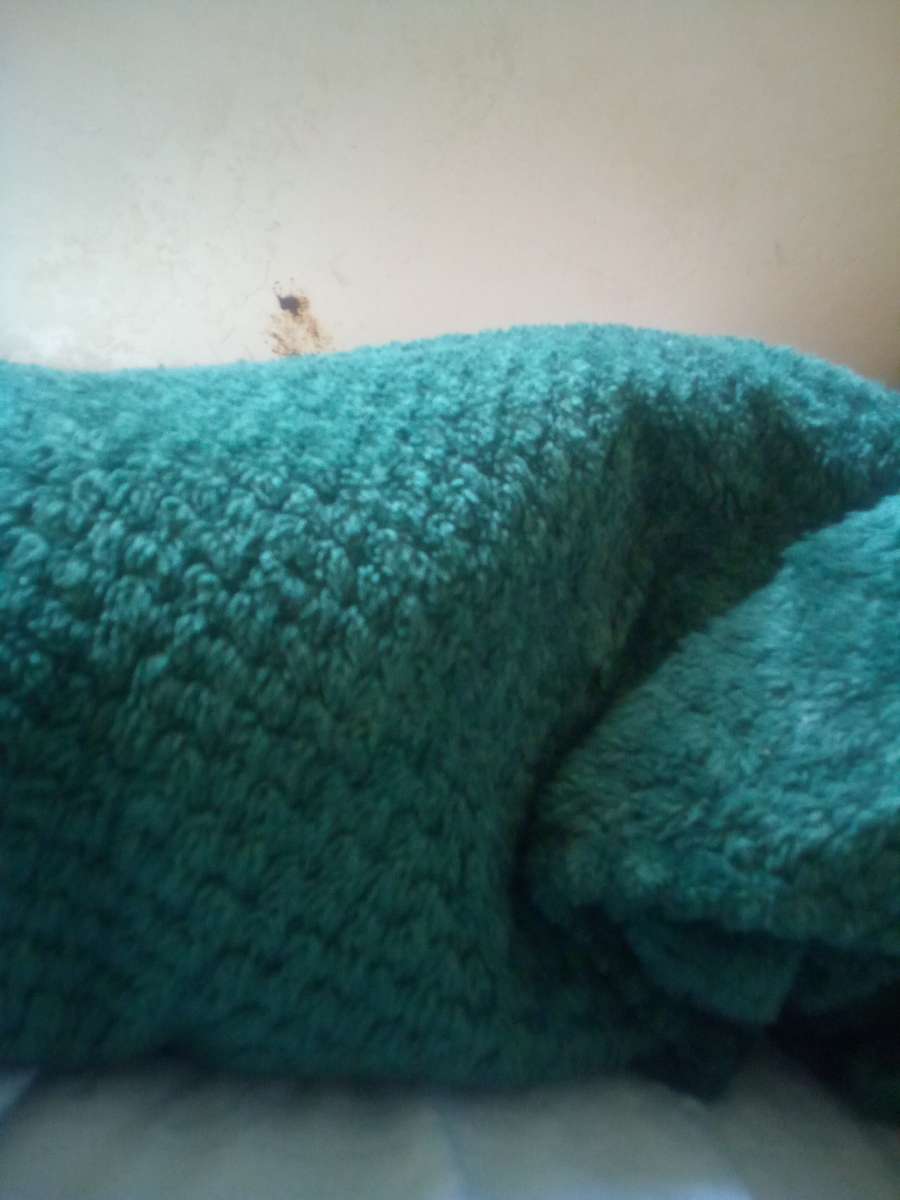 green blanket
