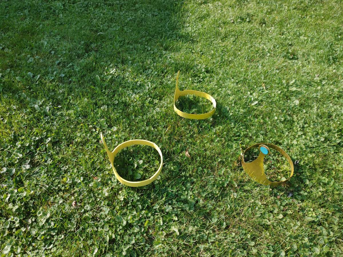 adventure time princess bubblegum crown