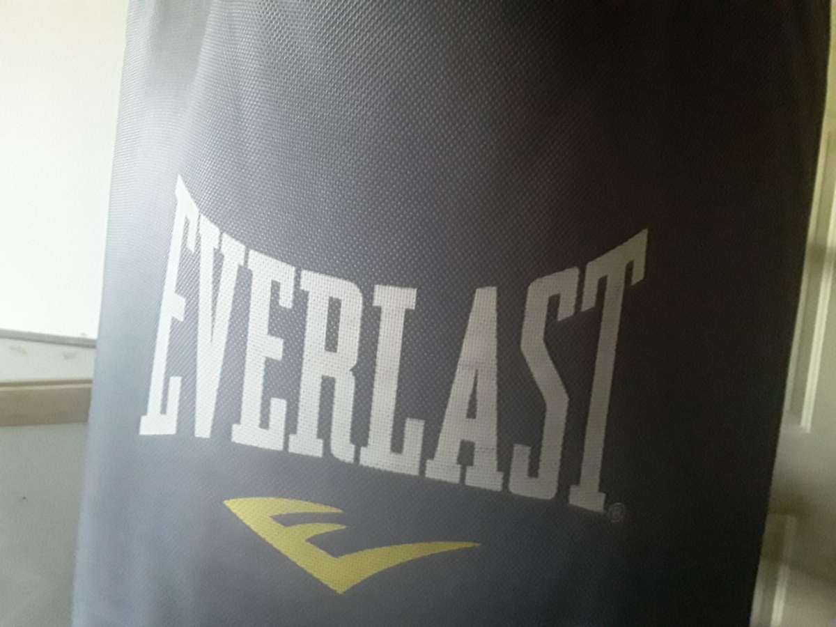 Everlast Punching Bag