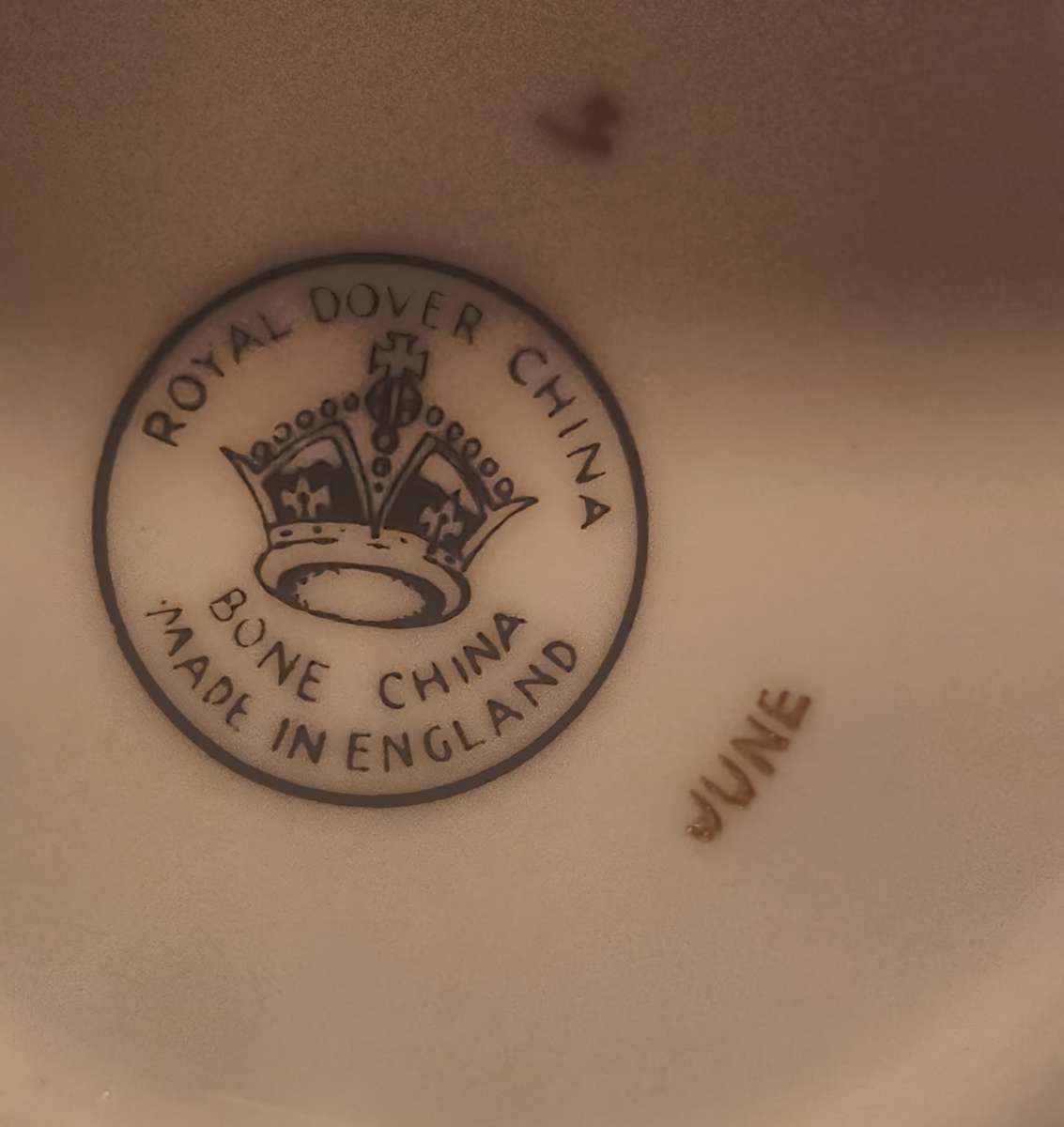 Belmont Fine China TeaCup Saucer