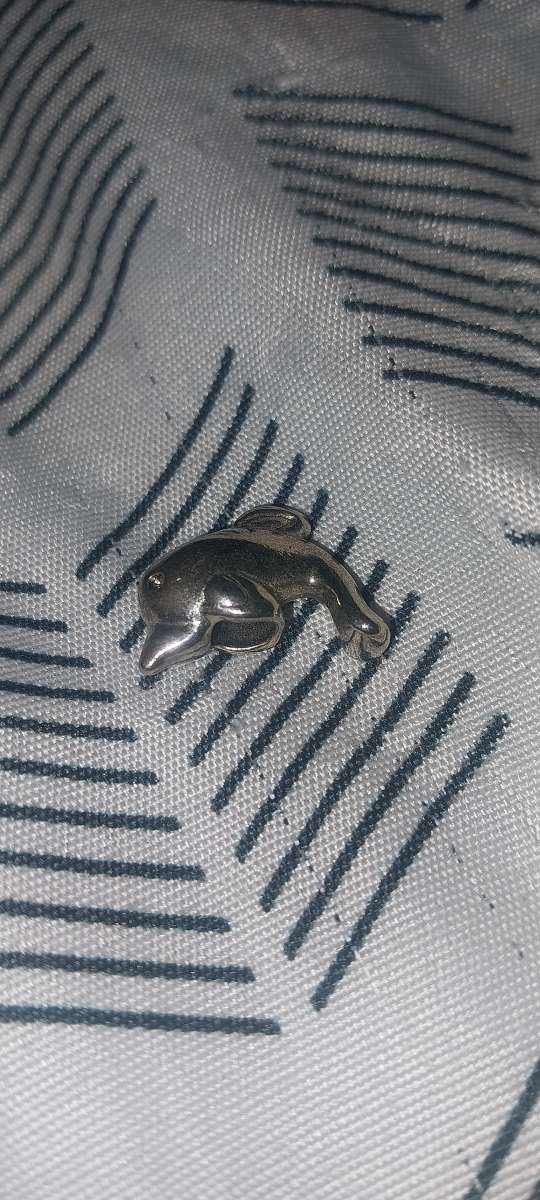 Pandora dolphin charm