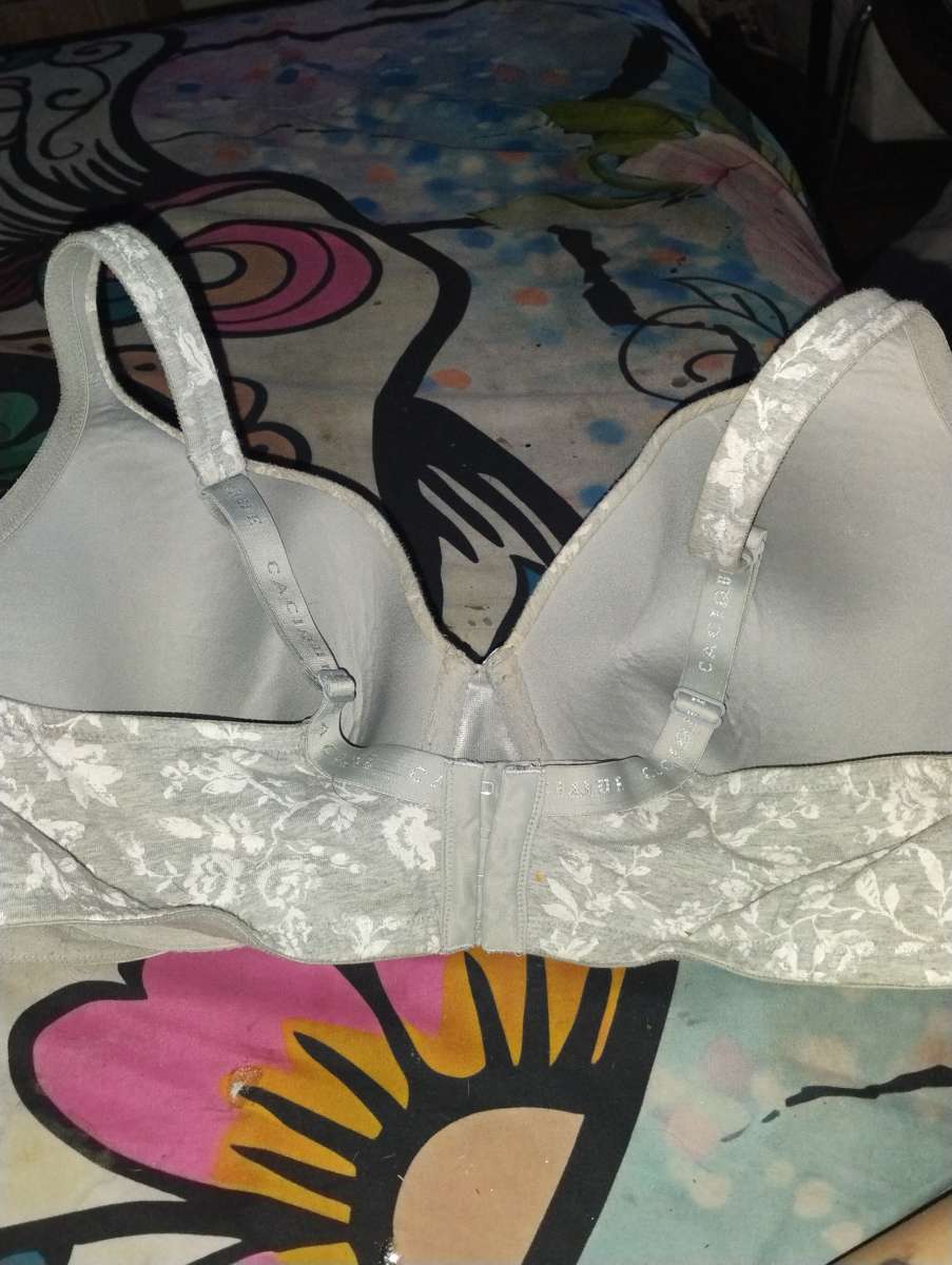 Lanebryant Torrid bras